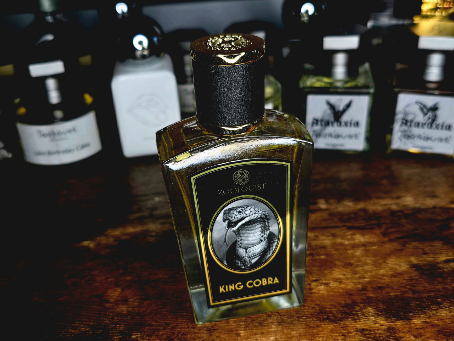 King Cobra by Zoologist 3ml Sample